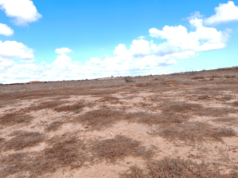 0 Bedroom Property for Sale in Langebaan Country Estate Western Cape